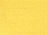 2003 Ford Zinc Yellow